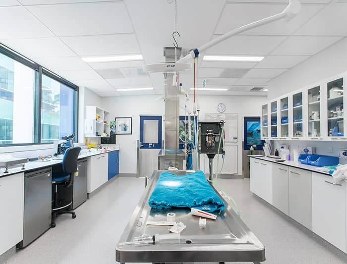 獸醫實驗室設計 獸醫實驗室設計