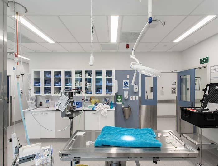 動(dòng)物實(shí)驗(yàn)室SPF級(jí)環(huán)境打造：從籠架到氣流的20個(gè)關(guān)鍵細(xì)節(jié)